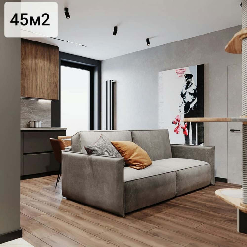 Квартира 45 м²